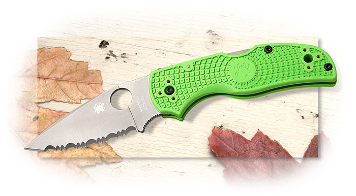 Spyderco Native 5 Salt - Green Spyder Edge