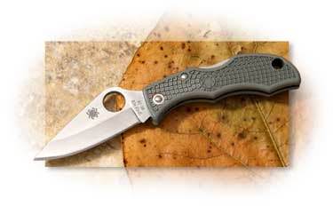 Spyderco Ladybug 3 Foliage Green